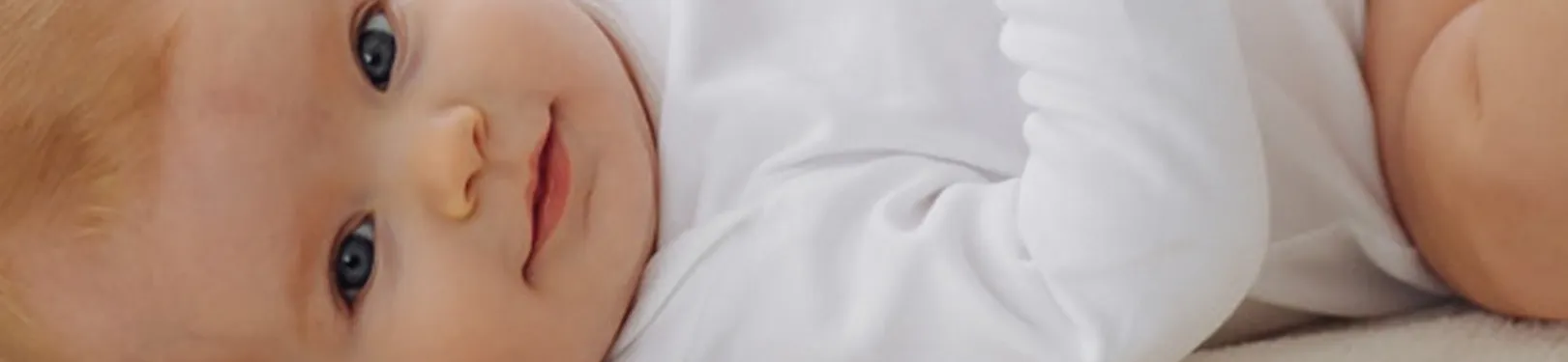 amberrosia kinderopvang almere