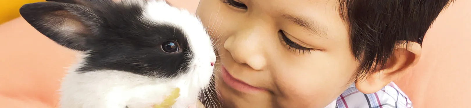 amberrosia kinderopvang almere